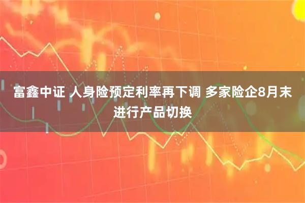 富鑫中证 人身险预定利率再下调 多家险企8月末进行产品切换
