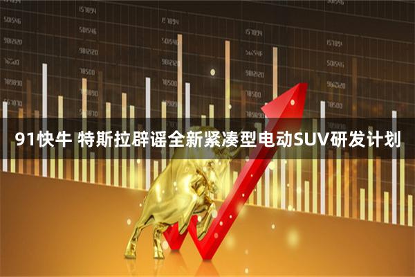 91快牛 特斯拉辟谣全新紧凑型电动SUV研发计划